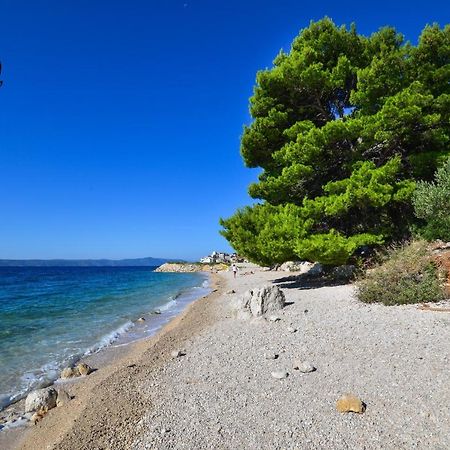 Apartman Mia Igrane Dış mekan fotoğraf